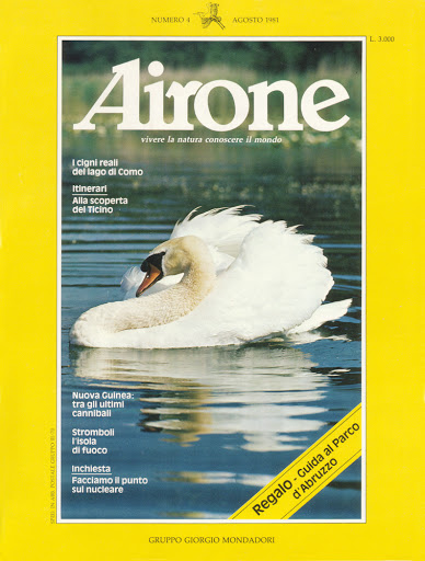 Airone, Agosto 1981