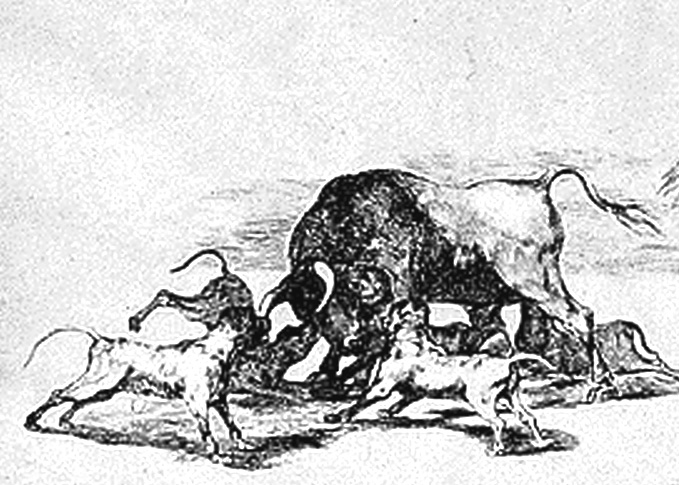 Tauromachia, Goya