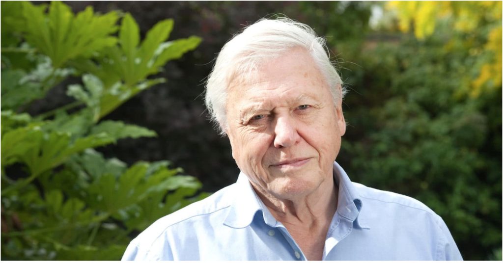 Il documentarista David Attenborough
