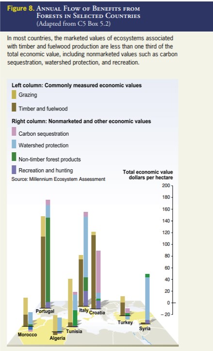 Grafico dei benefici delle foreste