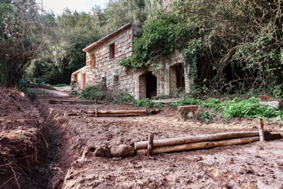 Manutenzione boschiva a Monte Romano