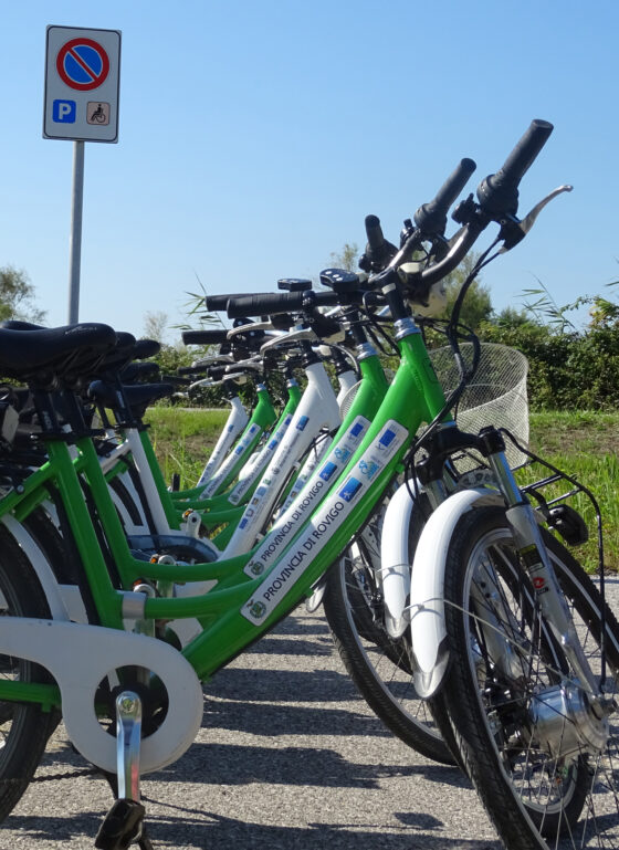Le biciclette a noleggio nel Parco del Delta del Po