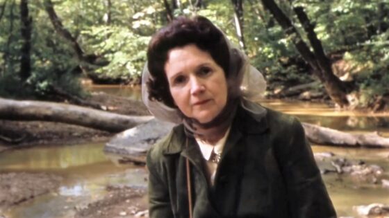 Le brevi lezioni di meraviglia di Rachel Carson