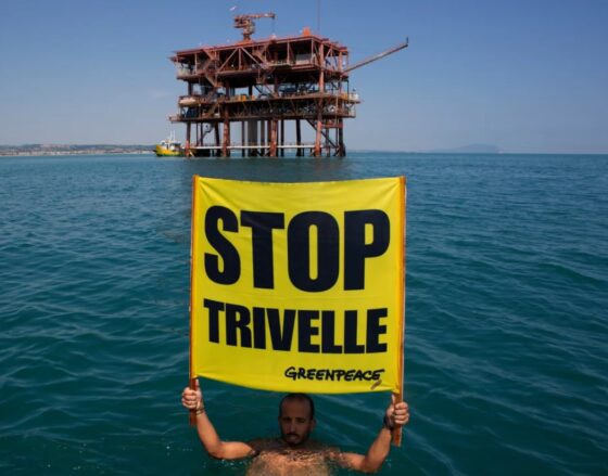 Trivelle Greenpeace