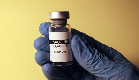 Il vaccino può immunizzare, proteggere dalla malattia e probabilmente dalla trasmissione.