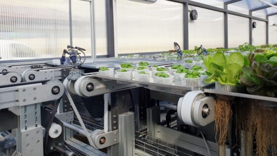 L'utilizzo delle piastre Aeromatic permette alle piante un'alimentazione automatica