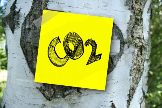 CO2, da nemica ad alleata per il clima