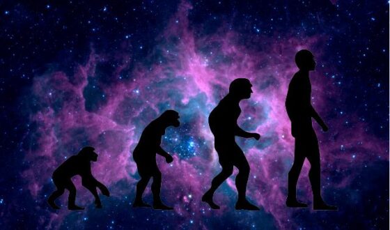 I nuovi fossili del genere “Homo” scuoteranno il nostro albero genealogico?