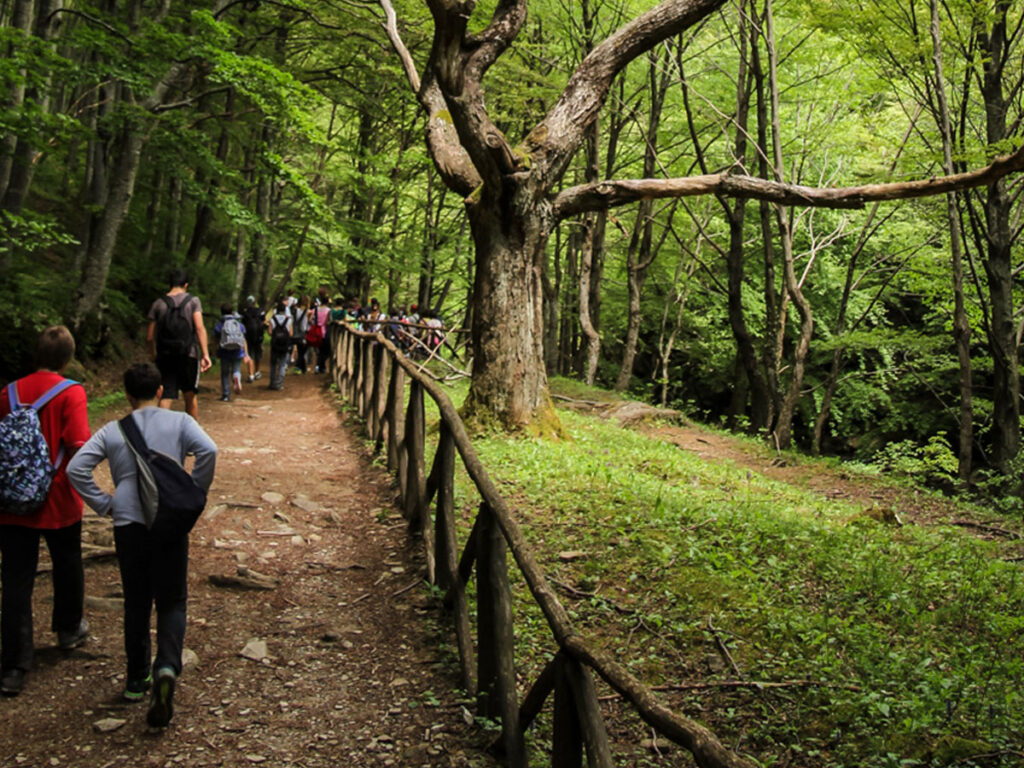 Persone in cammino nel Parco nazionale delle Foreste casentinesi, fra la Toscana e l'Emilia Romagna
