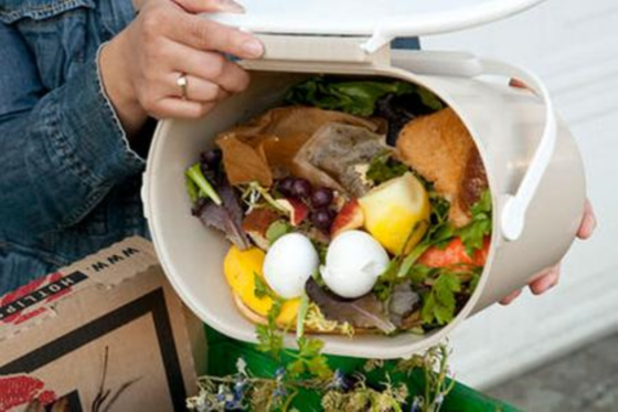 Il 14% del cibo finisce nella spazzatura. I dati di Waste Watcher sullo spreco alimentare