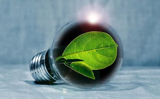 Transizione ecologica, QualEnergia: bisogna accelerare per ridurre le bollette