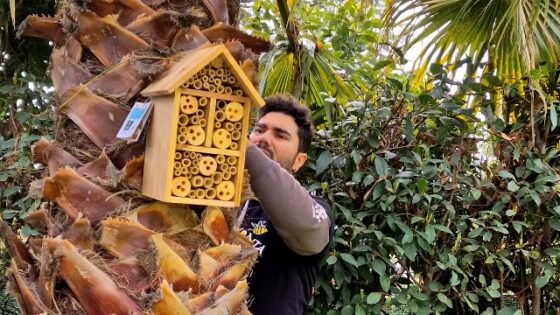Giornata mondiale delle api, torna il progetto di Coop per gli impollinatori