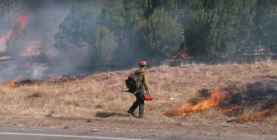 New Mexico, fiamme da oltre un mese. Biden dichiara il disastro ambientale