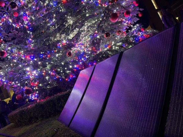 Un'altra immagine dell'abete illuminato
