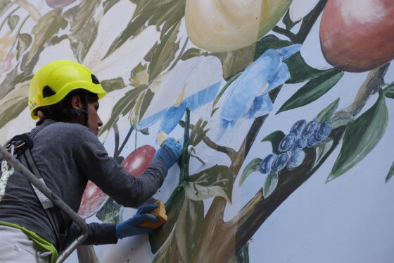 A Battipaglia la street art è recupero e cura del territorio