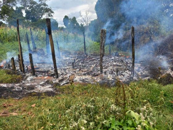 Un'abitazione Ogiek incendiata durante gli sfratti illegali e brutali compiuti dalle autorità keniote (Foto: Anon/survival.it)