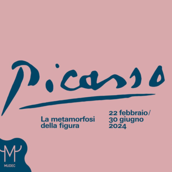 Picasso – La metamorfosi della figura